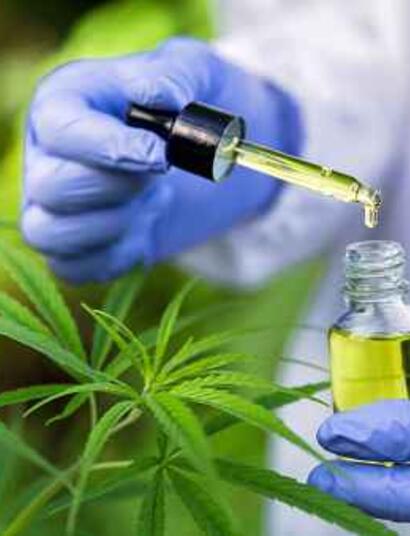 How To Make CBD Oil