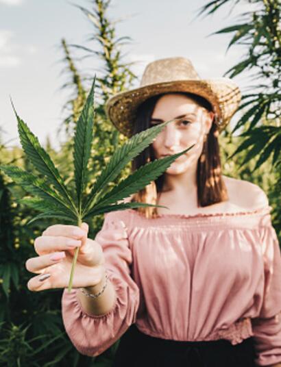 Las seis más deliciosas