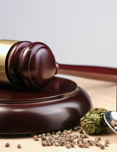 Ska-P llega a Chile para pedir la legalización.