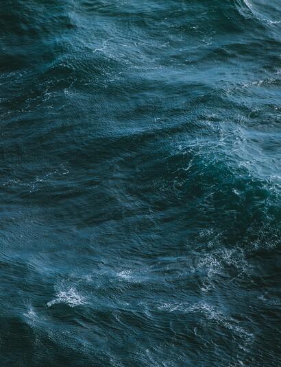 NOT ONLY REALLY, REALLY, REALLY FRESH SEA AIR