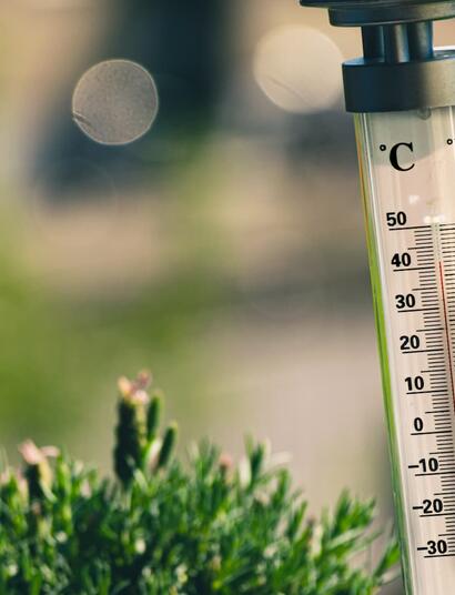 La-Importancia-de-la-Temperatura-del-Agua-de-Riego