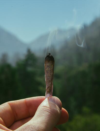 Frenchy Dreams of Hashish - Online Premiere