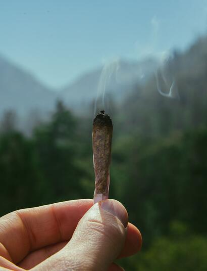 La Thailandia cerca di vietare l'uso ricreativo di cannabis dopo averla depenalizzata