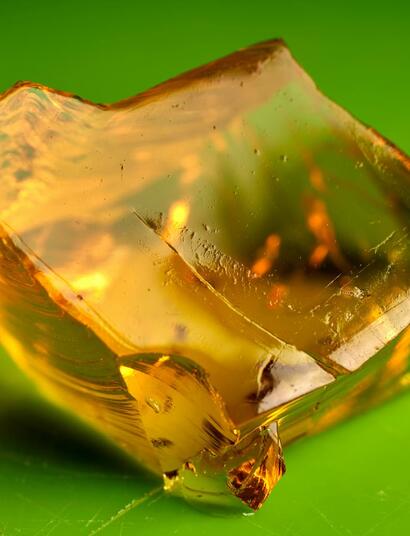 Jelly-hash