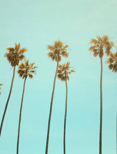 California