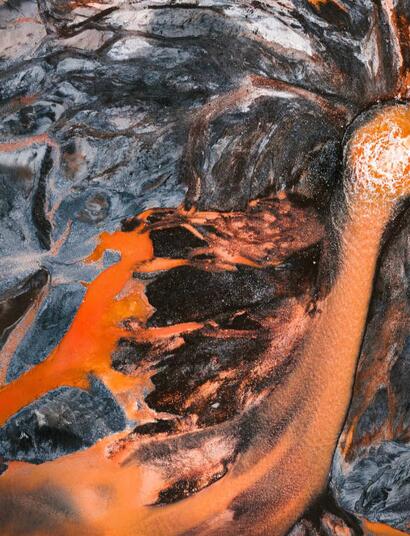 Konopí by mohlo vyčistit toxickou půdu