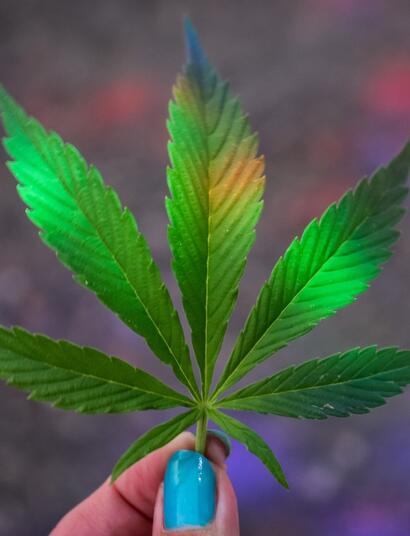 La-Feria-del-Cannabis-más-grande-de-Europa