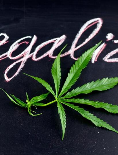 sign with a marijuana leaf and the words legalize!
