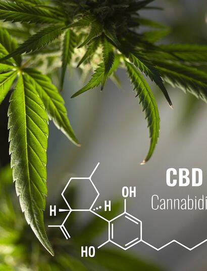 CBD in Europa - Wie ist es um den Rechtsstatus bestellt? 