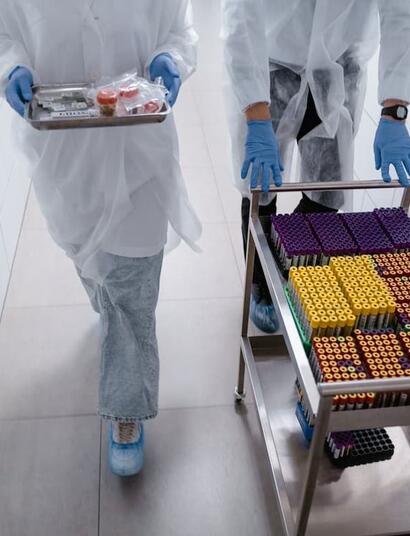 Facing an upcoming workplace drug test? Learn about the essential regulatory rules, testing windows, cutoff levels, and your legal rights as an employee.