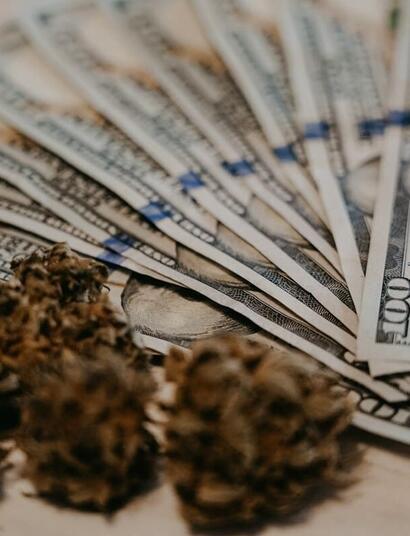 Maine recreational cannabis market profits for 2023
