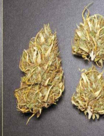 Una sesion de manicura nunca es igual a otra