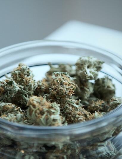 Un cannabis rico en principios activos será fragante y redondo. 