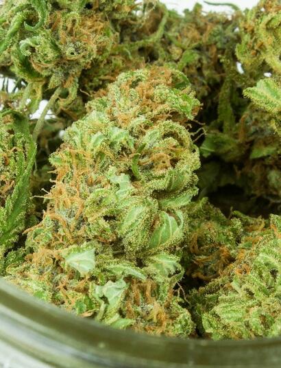 La marihuana creepy es una mentira de la policía.