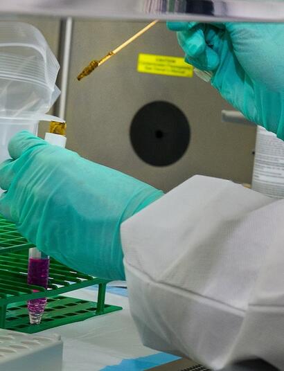 ¿Cómo zafar de un test de marihuana?