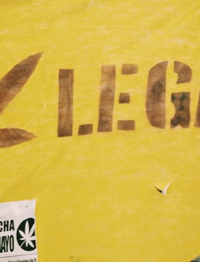 ¿Por qué legalizar la marihuana y su cultivo?