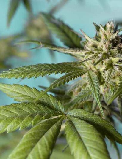 Technický průlom v osvětlení