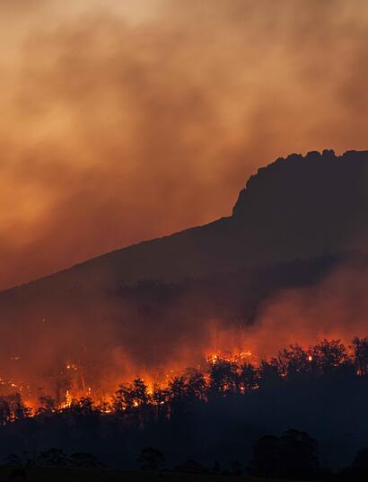 Cambio climático y cannabis: lo que El Niño nos dejó