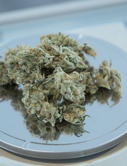 medical cannabis and opioid dosages, study, research, New York