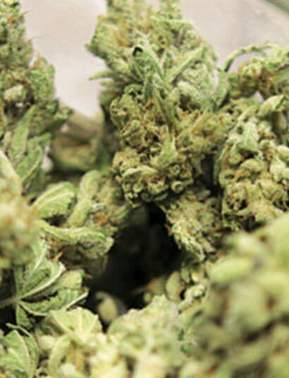 Smartshop (House of Smart) opent in pand lounge cafe