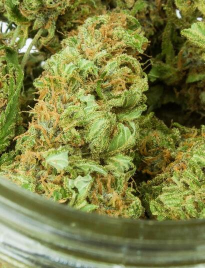 green cush in a bowl. 