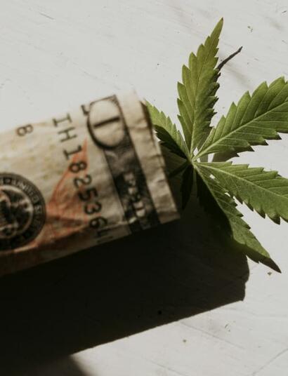Michigan Gov. Gretchen Whitmer signed a 24% wholesale tax intended to fund state roads repair initiatives, but the plan is set to blow cannabis market growth. 