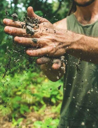 micronutrients functions and feed information. 
