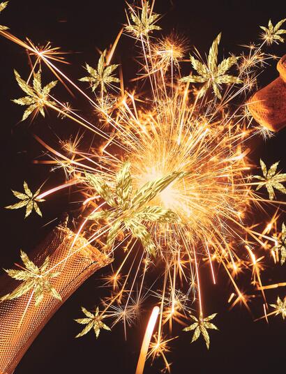 Propositi per il 2024: come la cannabis può aiutare