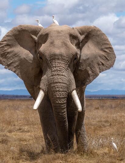 MCBT 2016; Biggest Bike Tour Yet Hits Slovenia/Italy Next Week