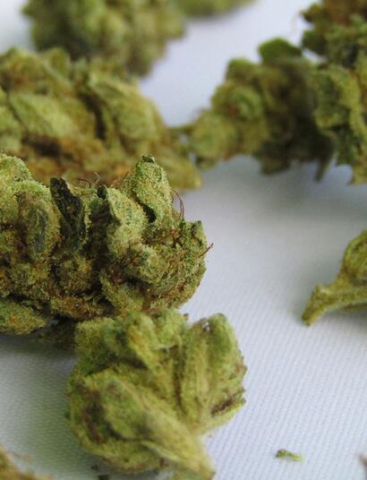 La magia nascosta della cannabis: tutto sulla decarbossilazione