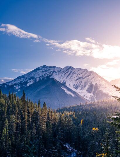 Canada vernünftige Cannabispolitik