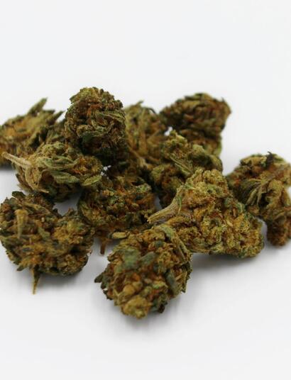 new york authorities will help past convicts set up legal shops.