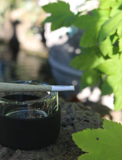 New York, public opinions on cannabis and alcohol 