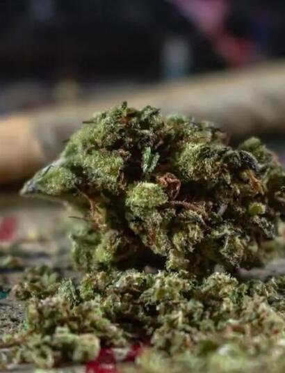 cannabis-medica-northern-lights