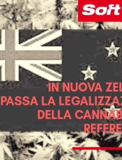 Nuova Zelanda, vince il No al referendum consultivo sulla legalizzazione della cannabis