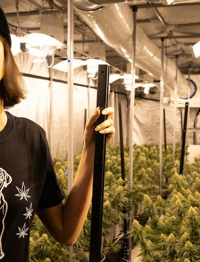 ¿Cuál será el impacto en América Latina de las medidas anti THC de Trump?