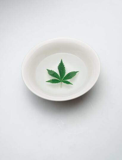 Pěstování ve skleníku, část 2.