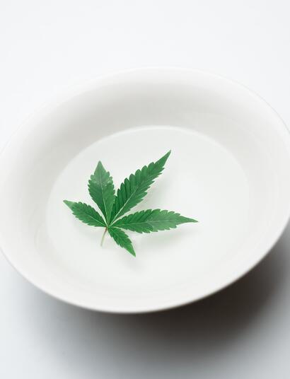 cannabis