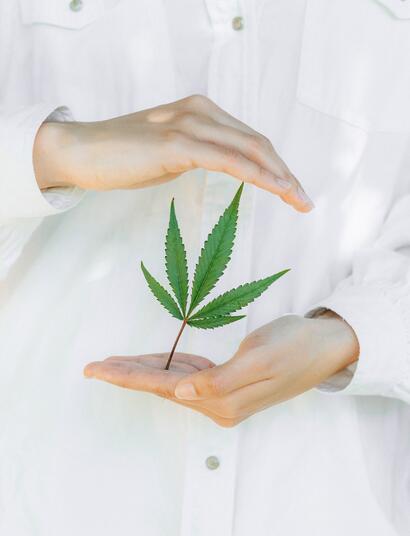 Weitere Studie belegt positive Wirkung bei Demenz