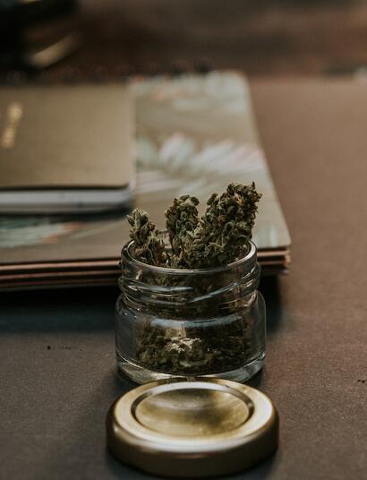 Anwälte der Cannabisbranche