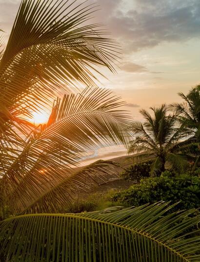 Costa Rica legalisiert medizinisches Cannabis
