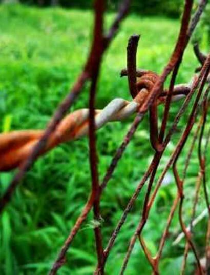 Se pondrá Chile a volar?