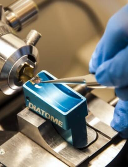 Descubren cómo el THC frenara cáncer