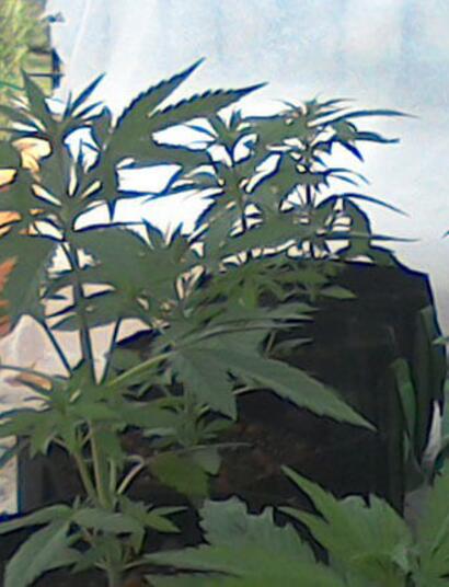 Top Tips For Spring Time