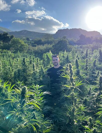 Rue de la Boulette : la récolte 2024 sera-t-elle à la hauteur?