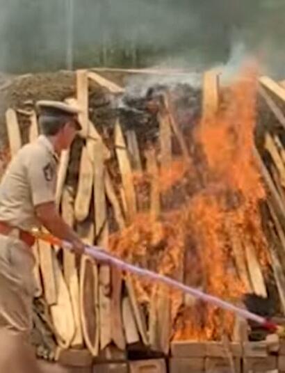 police in india burns ganja.