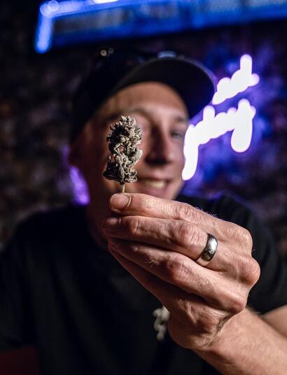 Video consejos: preguntas y respuestas cultivo de marihuana.