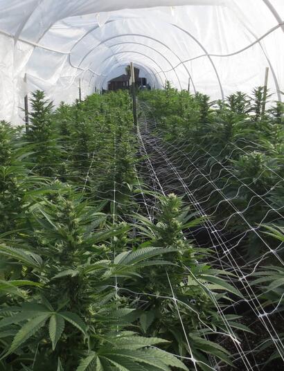 Prevenzione di malattie e parassiti