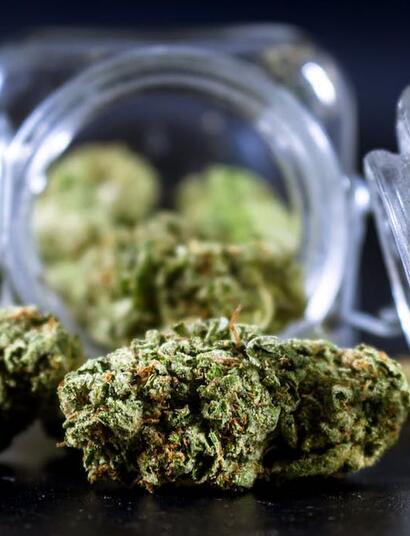 ¿Cómo incorporar y cosechar THCA?