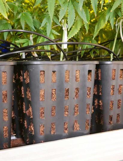 Quel est votre bon pot?